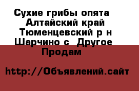 Сухие грибы опята  - Алтайский край, Тюменцевский р-н, Шарчино с. Другое » Продам   